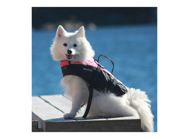 BALTIC Hundevest, Mascot rosa/sort S 3-8 kg
