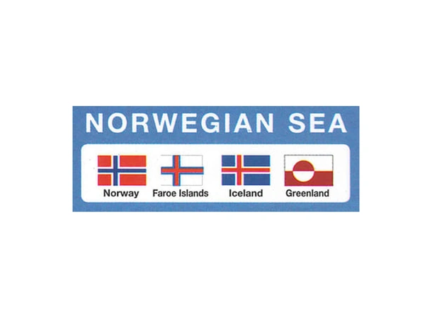 Gjesteflagg Norskehavet 4stk/pk