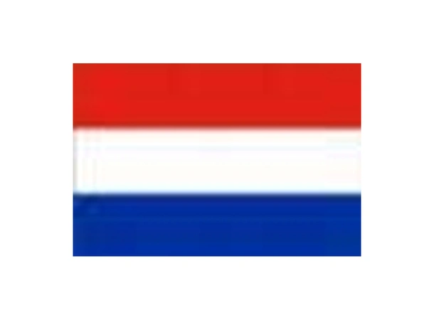 Gjesteflagg holland 35cm