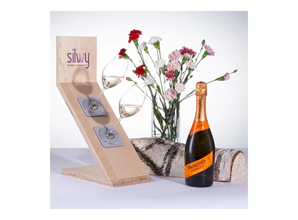 SILWY Magnetic Krystallglass - Champagne 2 stk glass og magnetpads