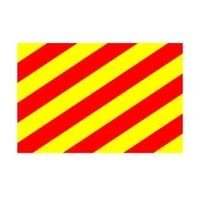 Signalflagg (30 x 45 cm) bokstav Y 