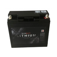 SKANBATT Bluetooth Lithium 12V 20ah Batteri med 30A BMS