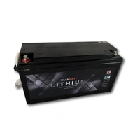SKANBATT Bluetooth Lithium Batteri 24V 100ah 100a BMS