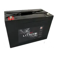 SKANBATT Basic Lithium Batteri 12V 100AH 100A BMS