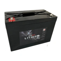 SKANBATT Basic Lithium Batteri 12V 100AH 100A BMS
