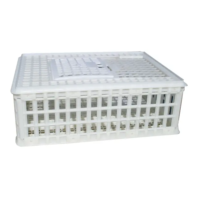 Sanketeine plast 75 x 55 x 26 cm 