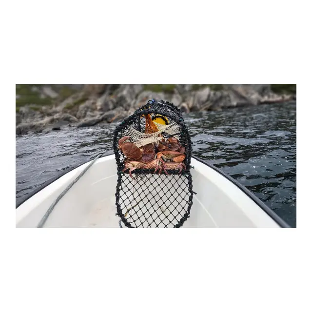 Krabbe/Hummerteine - enkel 62x45x40 cm - 5,5mm - 6kg 