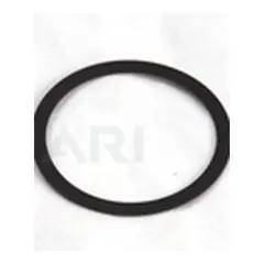 MINN KOTA O-Ring WASHER-THRUST STEERING