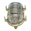 Skilpaddelampe oval - messing 195x262mm