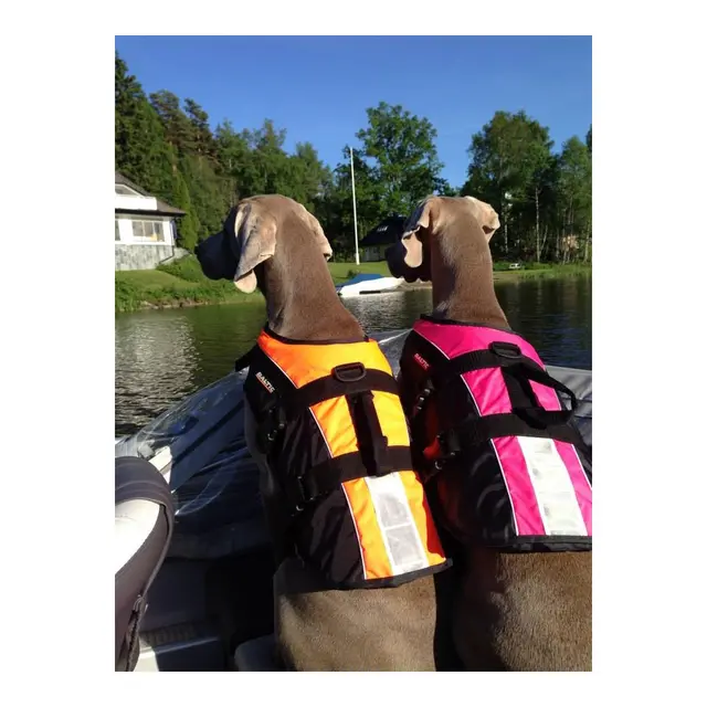 BALTIC Hundevest, Mascot rosa/sort S 3-8 kg 