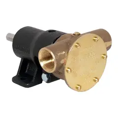 JABSCO Pumpe BRZ PED 040 BSP 10550-200