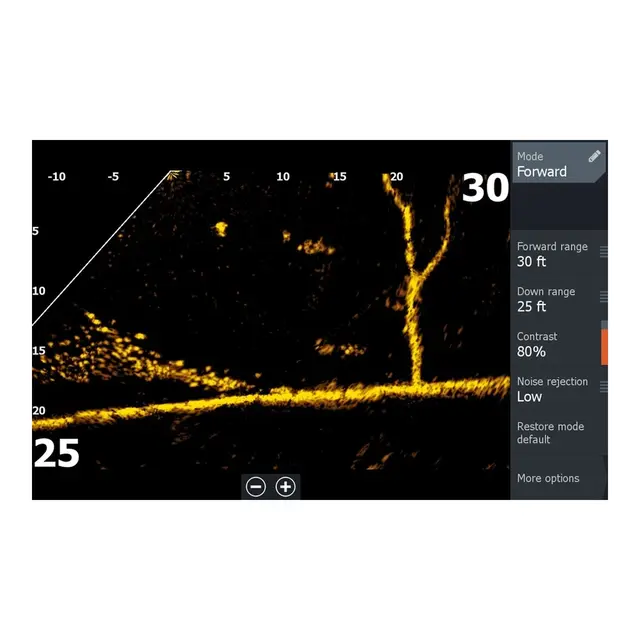 LOWRANCE ActiveTarget 2 Live Sonar 
