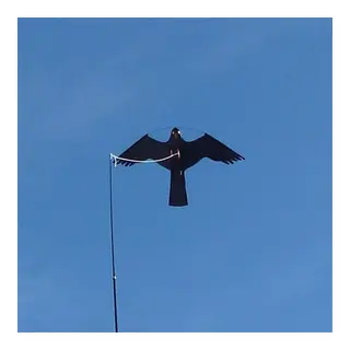 Drage/Hauk - reserve