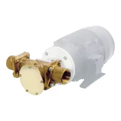 JABSCO Bronsepumpe HK 200 FLG NE 200L /min -&#160;1 1/2&quot; BSP-porter&#160;22880-2001