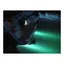 SEAWORLD Undervannslys 6xLED 30W, 12/24V blått lys 