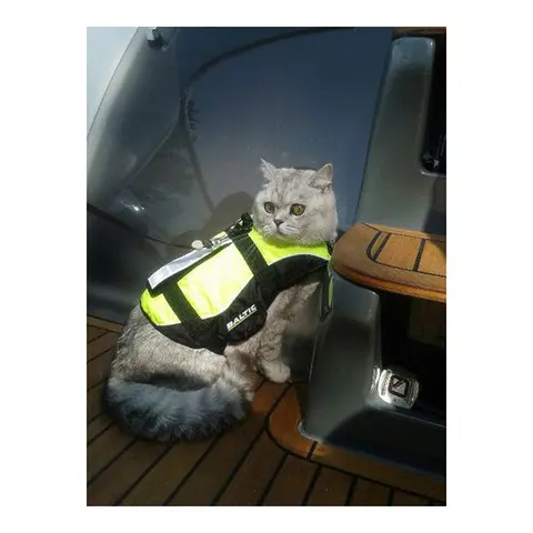 BALTIC Kattevest Maja, 3-7 kg UV-gul/sort 