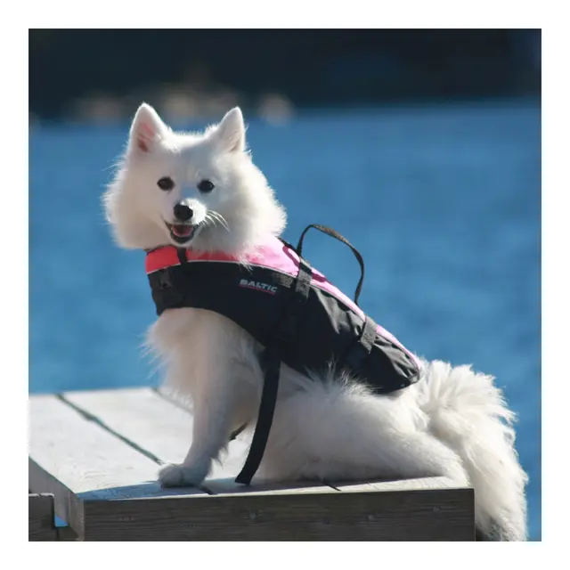 BALTIC Hundevest, Mascot gul/sort, M 8-15kg 