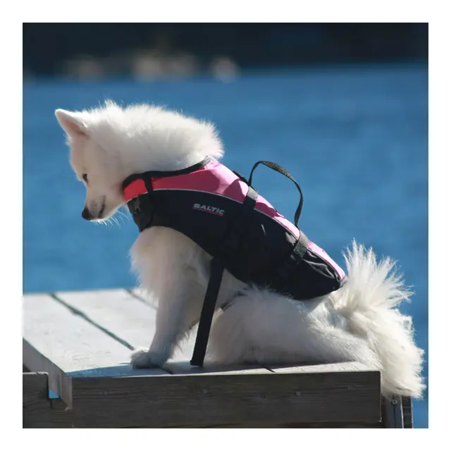BALTIC Hundevest, Mascot gul/sort, M 8-15kg 