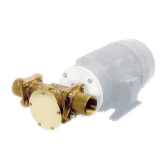 JABSCO Impellerpumpe for 220V 1 1/2" BSP - 200 l/min - Nitril impeller 