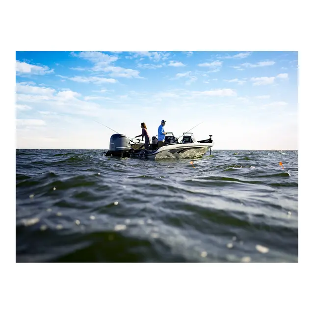 GARMIN LiveScope XR-system Med GLS10 og LVS62-svinger 