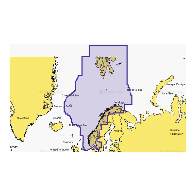 NAVIONICS+ Large Nedlasting Large nedlastingsbrikke valgfritt område 