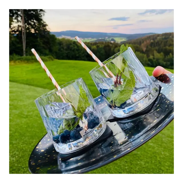 SILWY Magnetic Plastglass - Tumbler 6 stk glass og magnetpads 