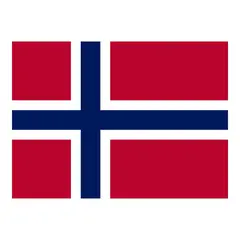 Gjesteflagg - Norge Vevet polyester - 30x19 cm