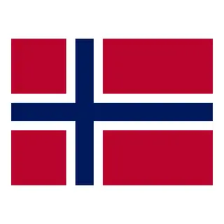Gjesteflagg - Norge Vevet polyester - 30x19 cm