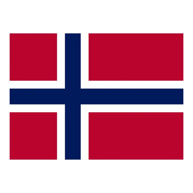 Gjesteflagg - Norge Vevet polyester - 30x19 cm 