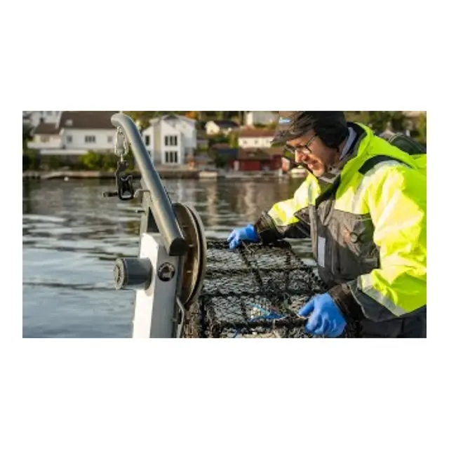 MULTIMARINE Smartliner Pro300 Teinehaler 12V - 50 kg,  forbedret utgave 2022! 
