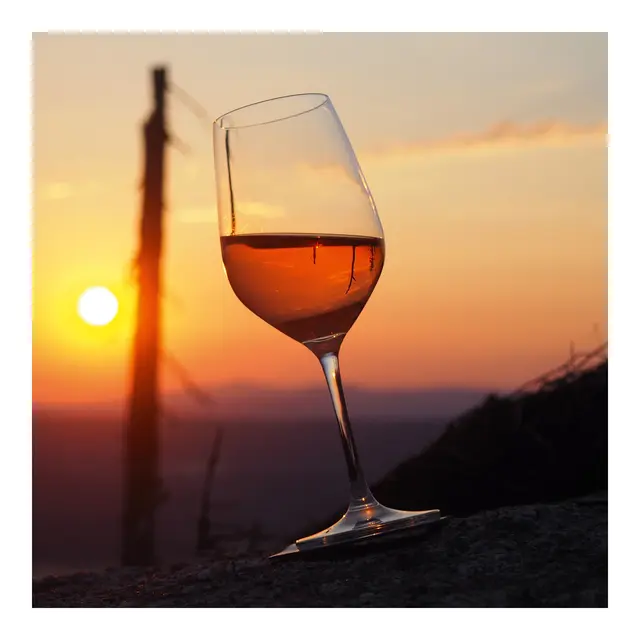 SILWY Magnetic Krystallglass - Vin 2 stk glass og magnetpads 