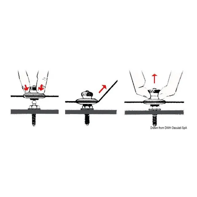 LOXX® kalesjeknapp Hun knapp - 5pk 