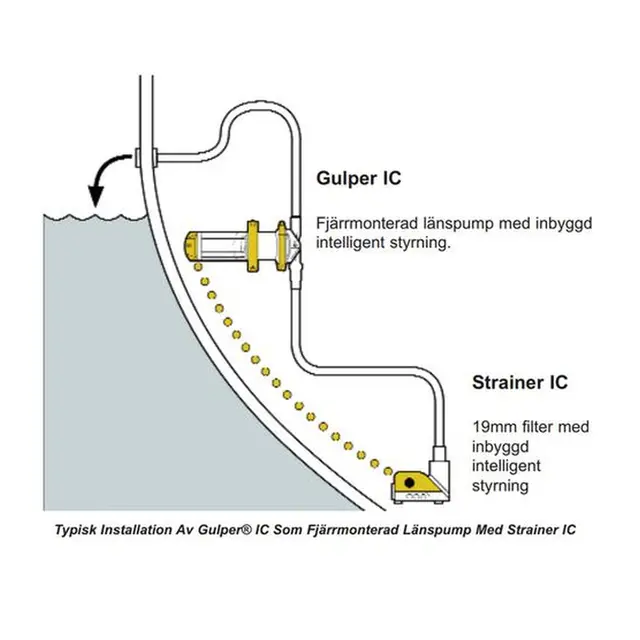 WHALE Gulper IC Lensesystem - 12V m/ nivåvakt - 19 L/m 