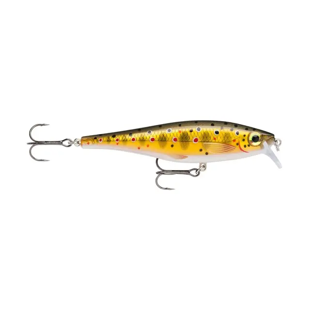 RAPALA BX Minnow 10cm TR 