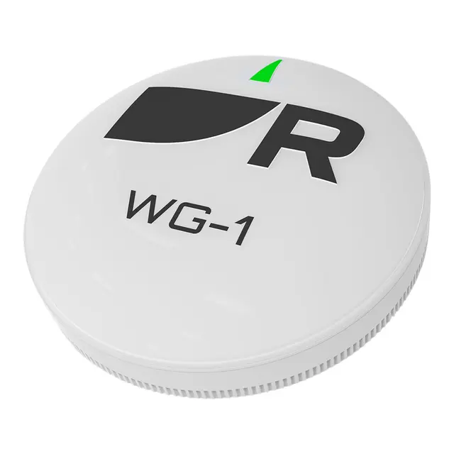 RAYMARINE RCU-1 Autopilot Fjernkontroll med mottaker WG-1 