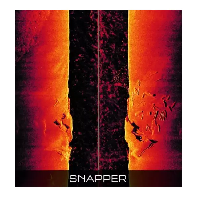 RAYMARINE RVM1600 3D Chirp Sonar Module 