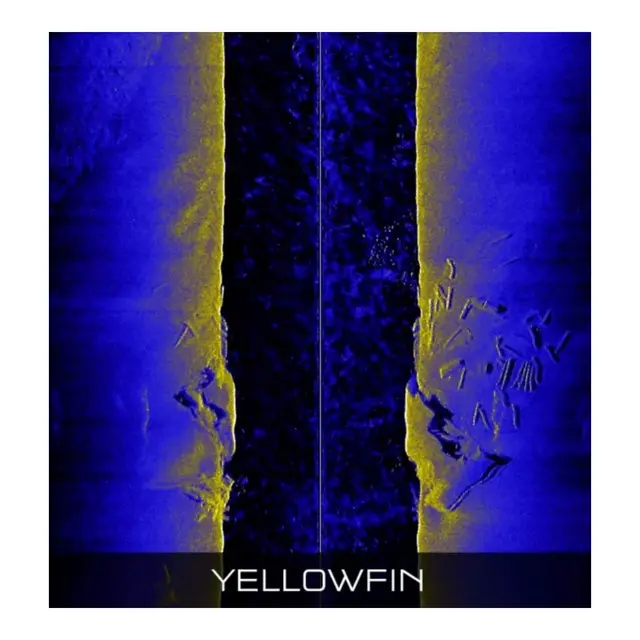 RAYMARINE RVM1600 3D Chirp Sonar Module 