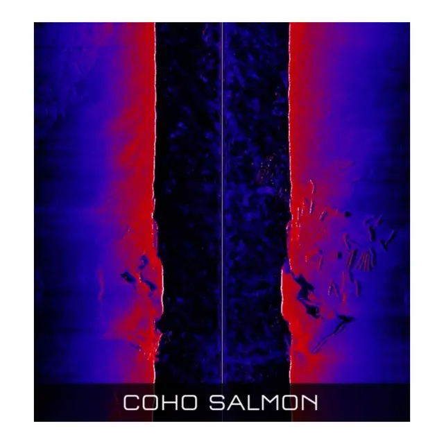 RAYMARINE RVM1600 3D Chirp Sonar Module 