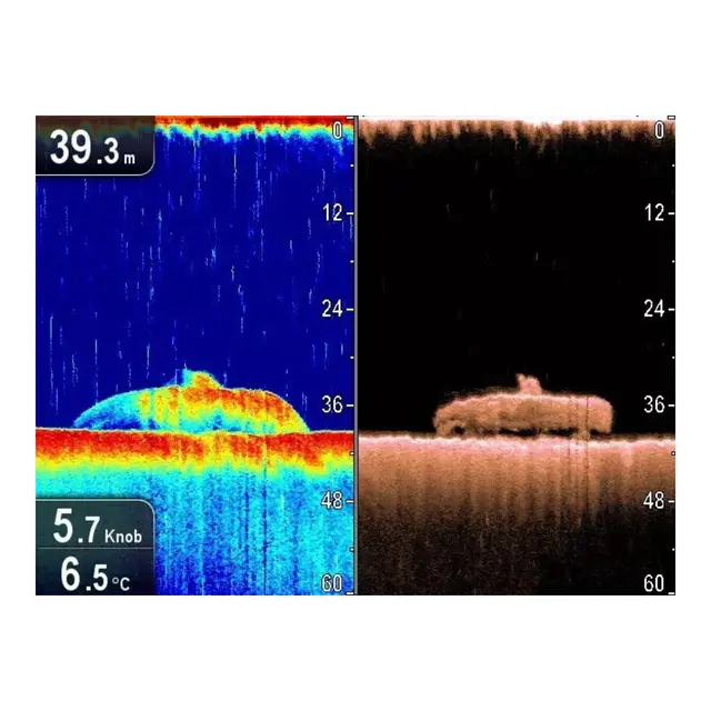 RAYMARINE CP100 Sonar Module 
