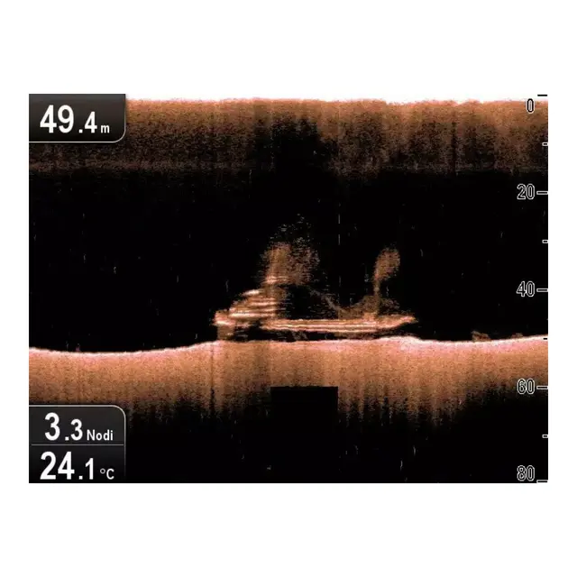RAYMARINE CP100 Sonar Module 