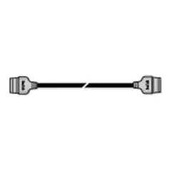 RAYMARINE ST40/60 - 40cm Forlengerkabel