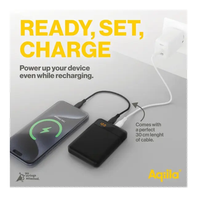AQIILA Powerbird B5M 5000 mAh 20W Powerbank - Mini 