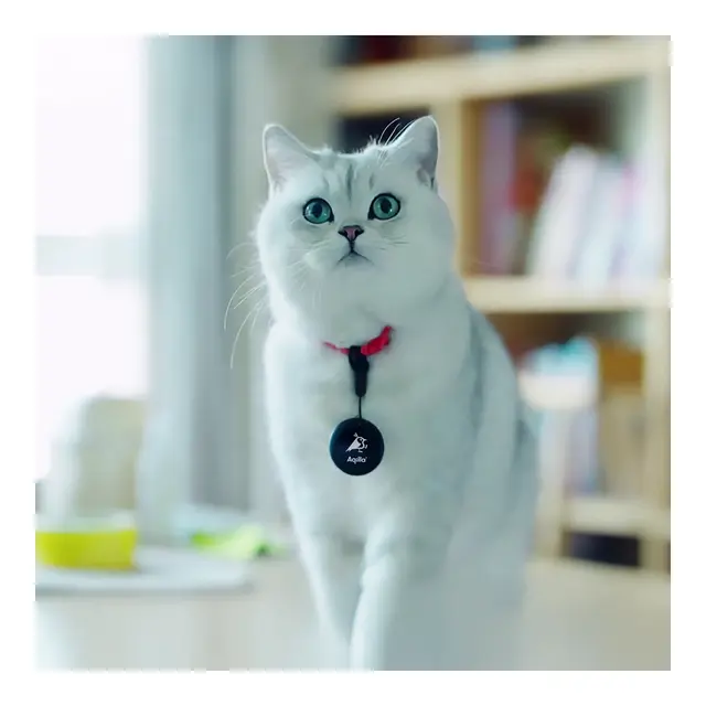 AQIILA Tagbird Sporingsbrikke Med monteringsbrikke - GPS sporingsenhet 