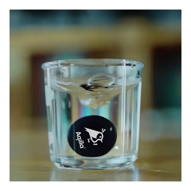 AQIILA Tagbird Sporingsbrikke Med monteringsbrikke - GPS sporingsenhet 