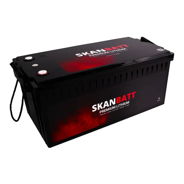 SKANBATT Premium LiFeP04 24v 200AH 200A BMS - m/ Bluetooth - 5120Wh 