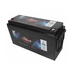 SKANBATT  Lithium HEAT PRO 12V 200AH CAN Bus  600A (3s) - (900A Peak)