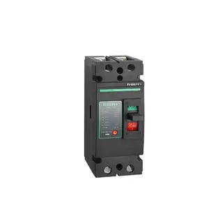 DC Effektbryter/ hovedsikring 100a