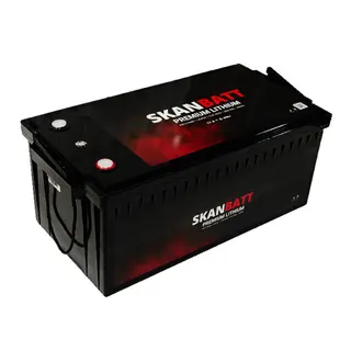 SKANBATT Premium Lithium - 12V 300Ah 200a BMS Bluetooth -Heat - 8 &#197;rs garanti