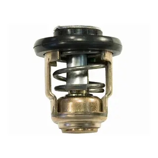 SIERRA Thermostat OEM: 6E5-12411-30-00 (YAMAHA)