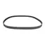 SIERRA Registerreim Yamaha F200-225 HK Oem: 69j-46241-00-00